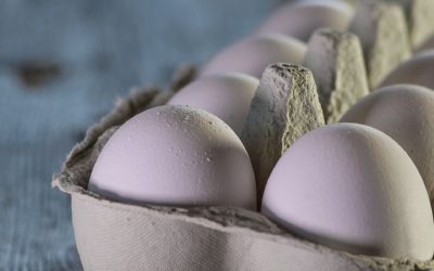 El escándalo de la industria del huevo